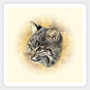 Bobcat cub Sticker